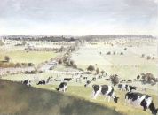 Looking East from Burrow Mump