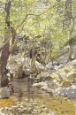 The Blue Damsel Flies, Evia